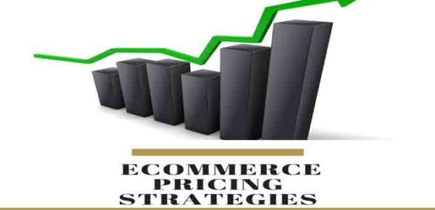 E-commerce Pricing Strategies