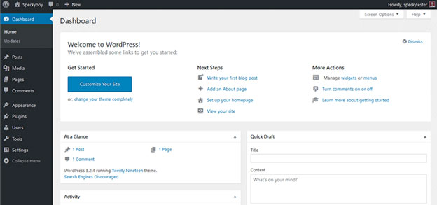 Thoughts About WordPress